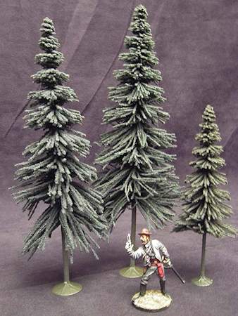 Coniferous