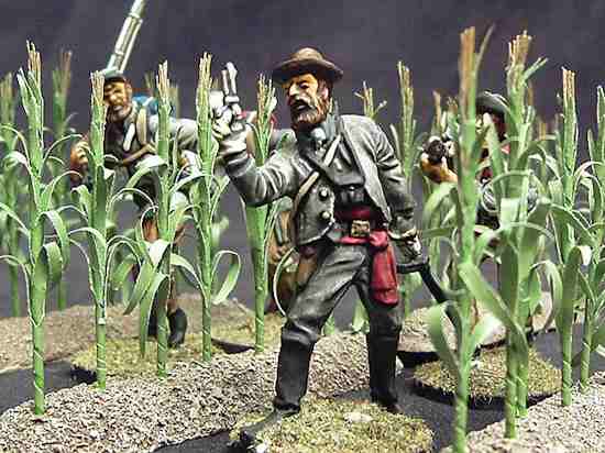 Cornfields