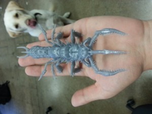 A test print