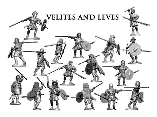 Velites