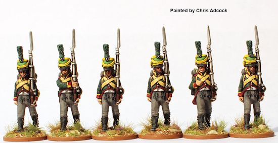 Nassau Napoleonics