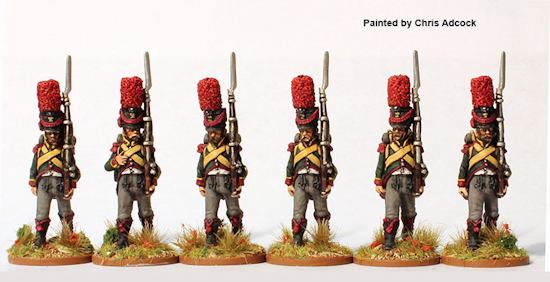 Nassau Napoleonics