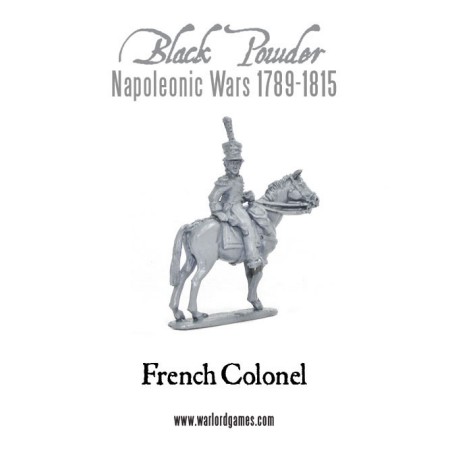 Napoleonic French Waterloo Starter Army