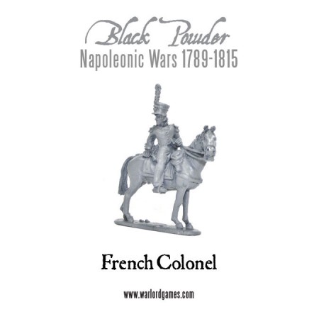 Napoleonic French Waterloo Starter Army
