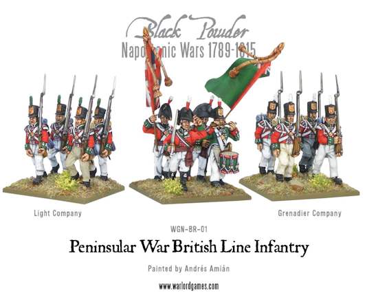 Peninsular War British Line Infantry