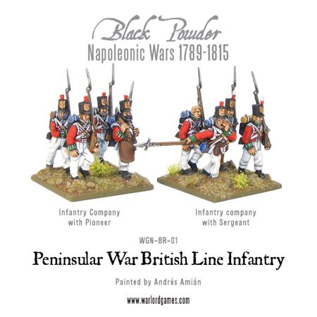 Peninsular War British Line Infantry