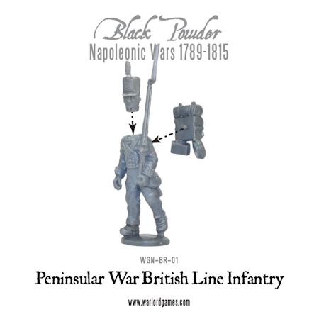 Peninsular War British Line Infantry