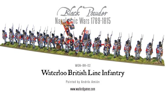 Waterloo British Line Infantry