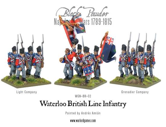 Waterloo British Line Infantry