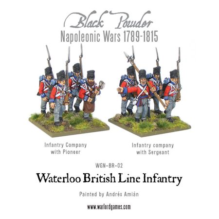 Waterloo British Line Infantry