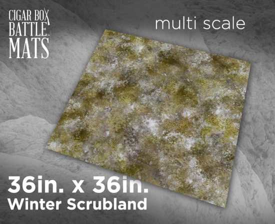 NEW 3x3 Winter Scrubland Mat
