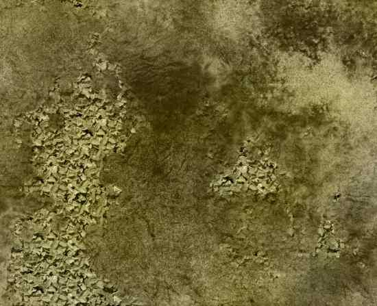 Scrubland 3x3 Up Close