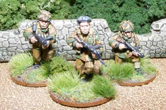 'Polish' paras