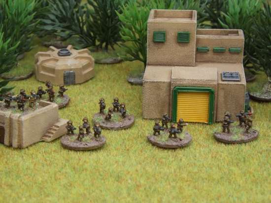 Polish Infantry