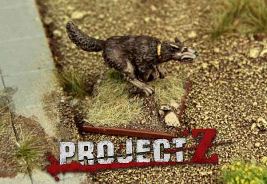 Project Z 15