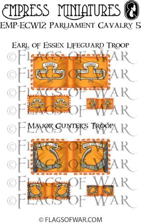 Essex Lifeguard & Majors troop