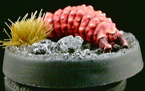 Larva