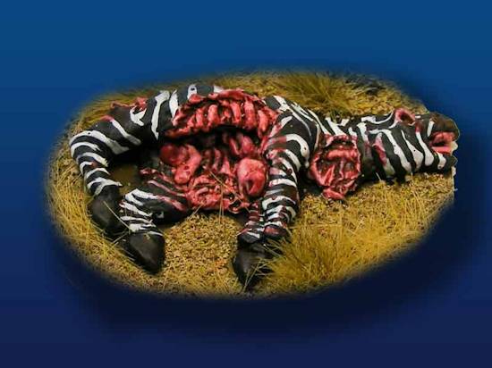 Zebra, Dead (2)