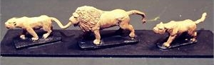 Lions