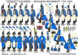 350: Electorate / Kingdom of Saxony: Hussar Regiment 1791-1810