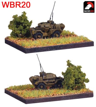 Baccus WWII