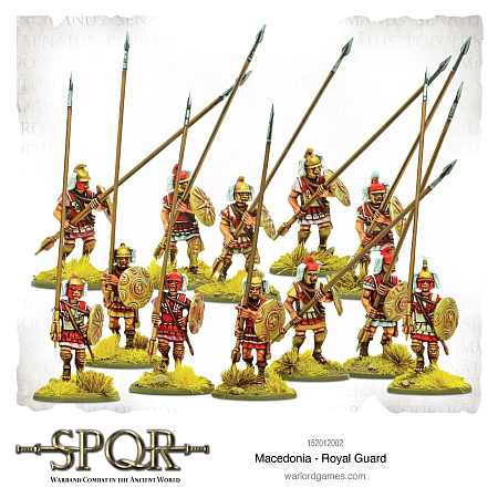 SPQR: Macedonia &ndash; Royal Guard