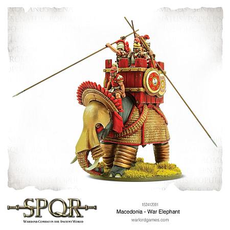 SPQR: Macedonia &ndash; War Elephant