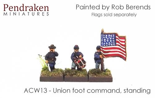 ACW13