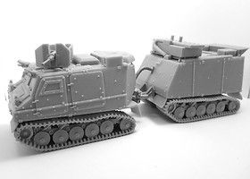 Warthog