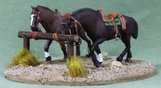 Wild West horses