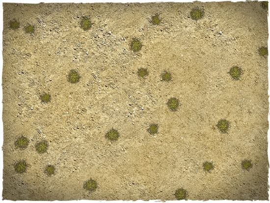 Western Desert mat &ndash; close up