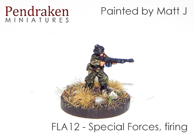 FLA12