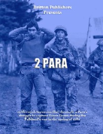 2 Para: Falkland's War Scenarios