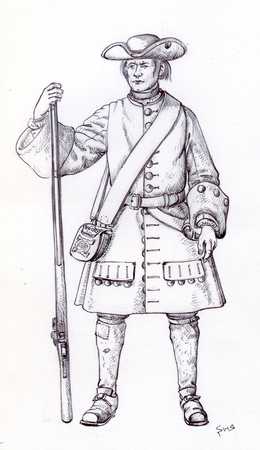 Charles XII's Karoliners, Volume 1