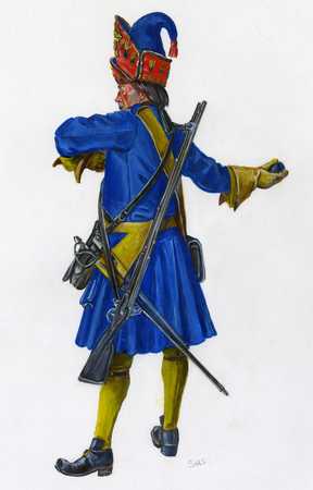Charles XII's Karoliners, Volume 1