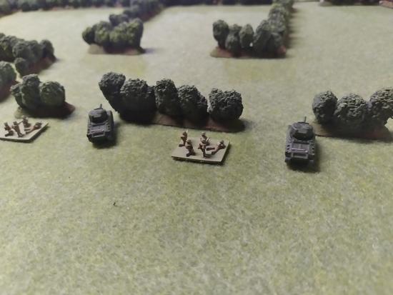 Hedgerow/Bocage Terrain for 6mm & 10mm