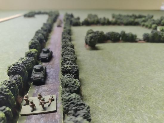 Hedgerow/Bocage Terrain for 6mm & 10mm