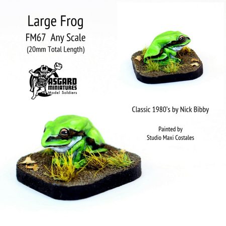 Large Frog
