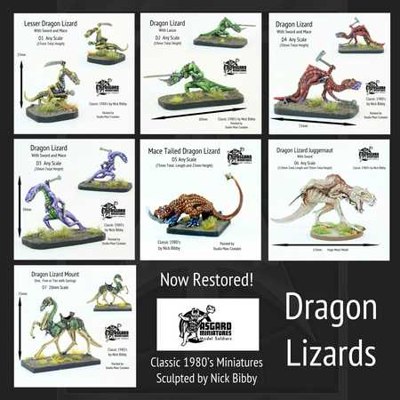 Dragon Lizards