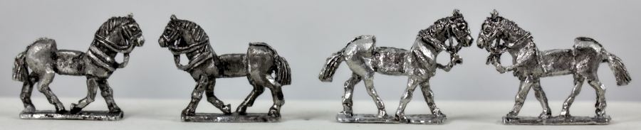 Horses