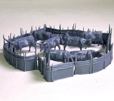 African cattle and corral set