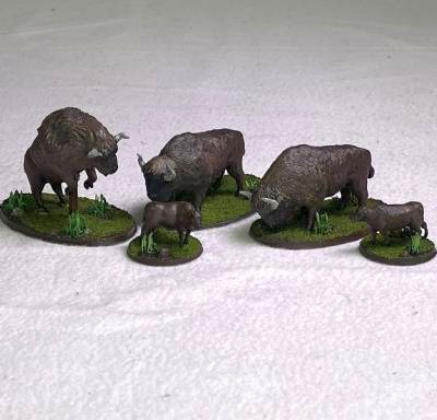 North American Bison Herd