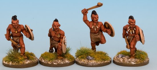 Vikings & Native Americans for Vinland