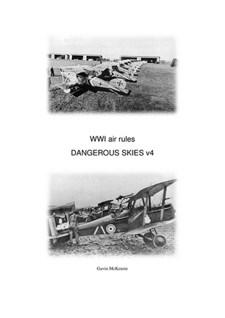 Dangerous Skies