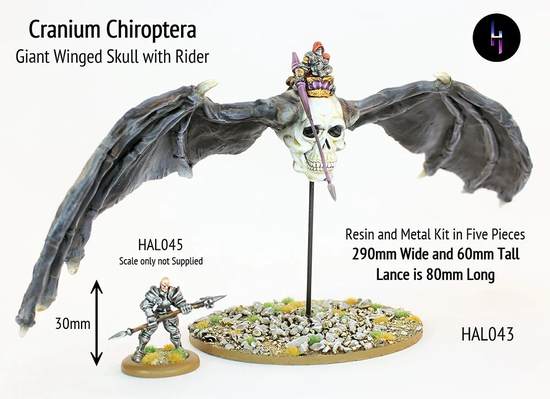 Cranium Chiroptera