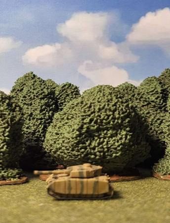 Deciduous Forest Tree Terrain