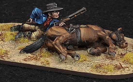 Texas ranger next to downed horse