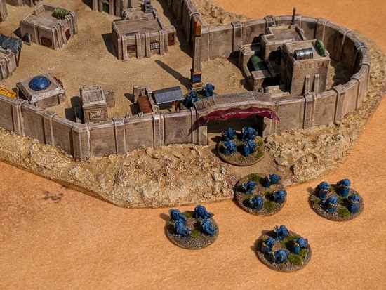 Shielded riot teams enter a small village 