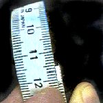Cloth tape measure