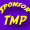 Supporting Member of TMP